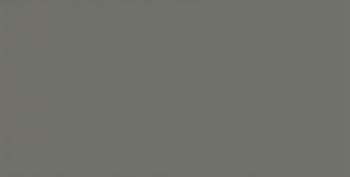Керамическая плитка Equipe Evolution Gris Oscuro Brillo 20915, цвет серый, поверхность глянцевая, кабанчик, 75x150