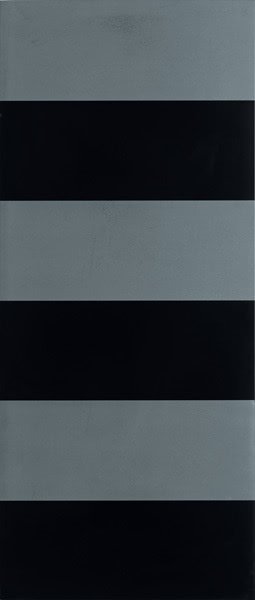 Декоративные элементы Roberto Cavalli Diva Dec. Lineare Nero 553662, цвет чёрный, поверхность матовая, прямоугольник, 320x750