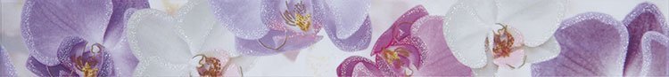 Бордюры Tecniceramica Orquideas Noa Purpura Cenefa, цвет фиолетовый, поверхность глянцевая, прямоугольник, 58x500