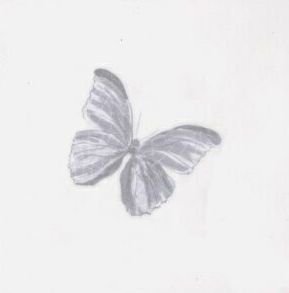 Декоративные элементы Cevica Dec. Butterfly Gris Prov.Blanco, цвет белый, поверхность глянцевая, квадрат, 100x100