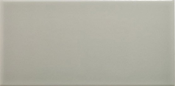 Керамическая плитка Adex ADNE1094 Liso PB Silver Mist, цвет серый, поверхность глянцевая, кабанчик, 100x200