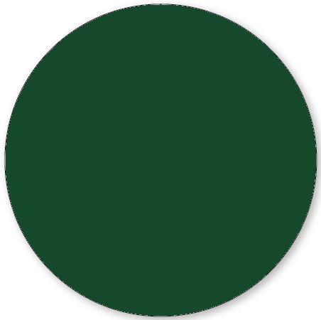Вставки La Diva Tamara Cerchio Gres Menta 36.36CRCGRS-Men, цвет зелёный, поверхность матовая, круг и овал, 360x360