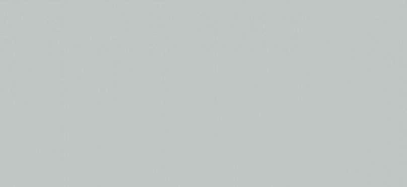 Широкоформатный керамогранит Baldocer Silver Pulido, цвет серый, поверхность полированная, прямоугольник, 1200x2600