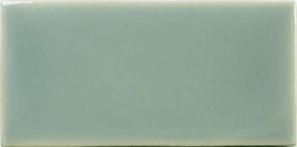 Керамическая плитка Wow Fayenza Fern 127936, цвет зелёный, поверхность глянцевая, кабанчик, 62x125