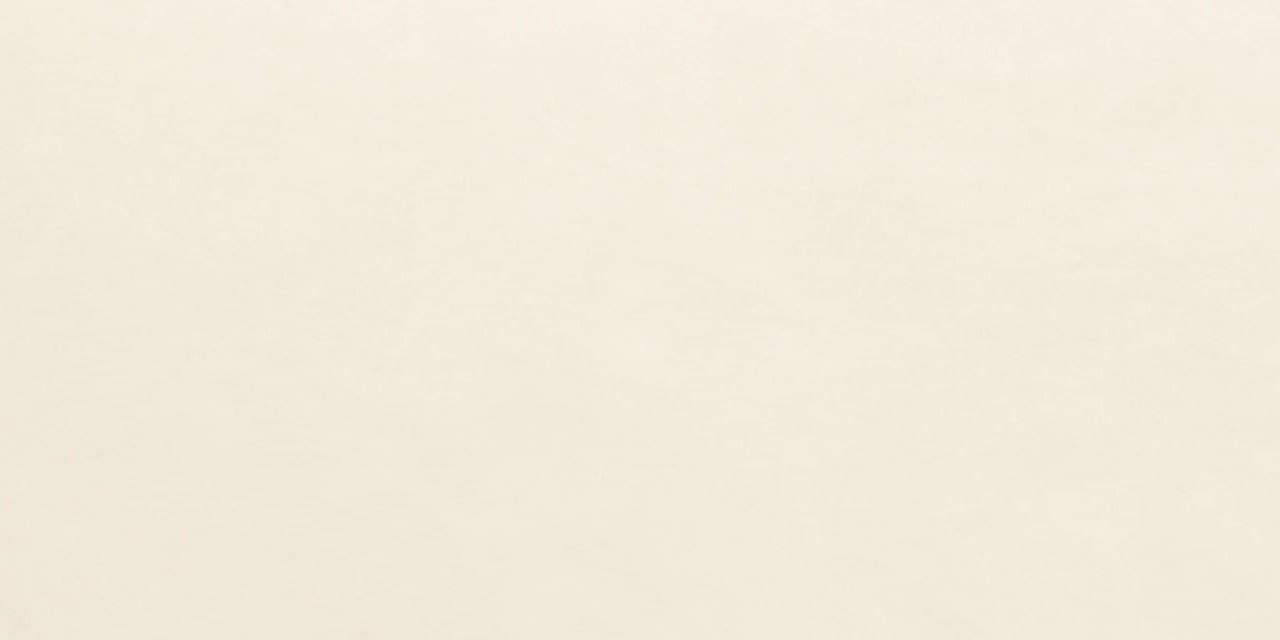 Керамогранит Panaria Experience Bianco Denso PG9EX00, цвет белый, поверхность матовая, прямоугольник, 500x1000