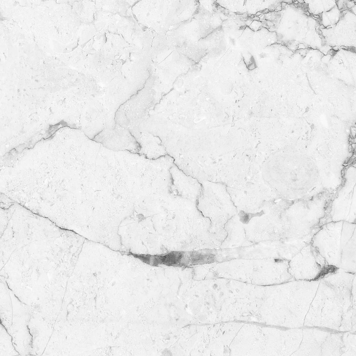 Керамогранит Absolut Gres Carrara White Matt AB 1077M, цвет серый, поверхность матовая, квадрат, 600x600