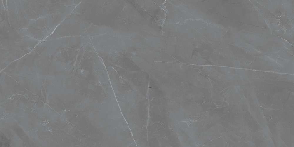 Керамогранит Maciej Zien Grey Pulpis Sat, цвет серый, поверхность сатинированная, прямоугольник, 598x1198