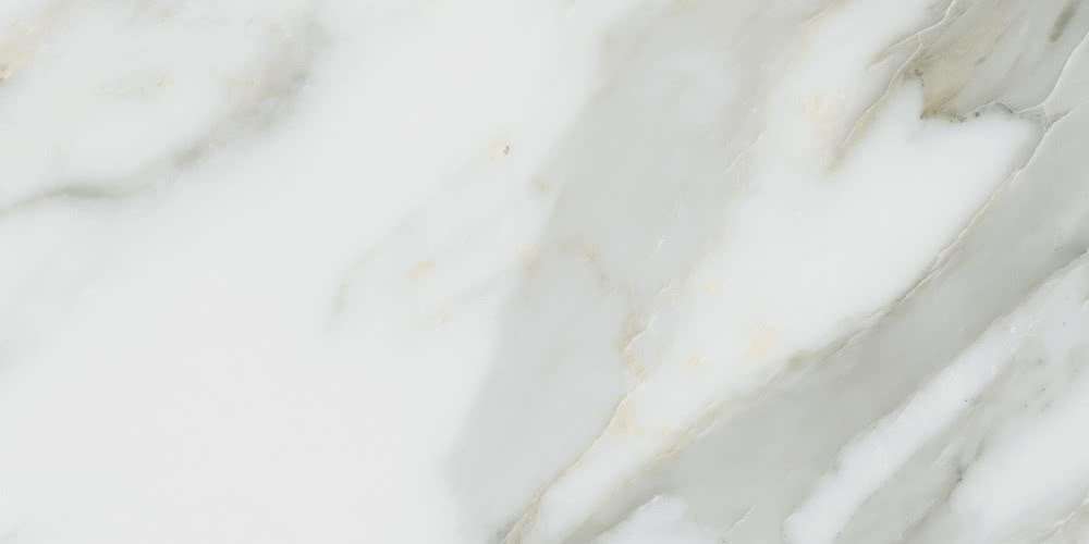 Керамогранит Piemme Marmi-Reali Calacatta 69800, цвет серый, поверхность полированная, квадрат, 300x600