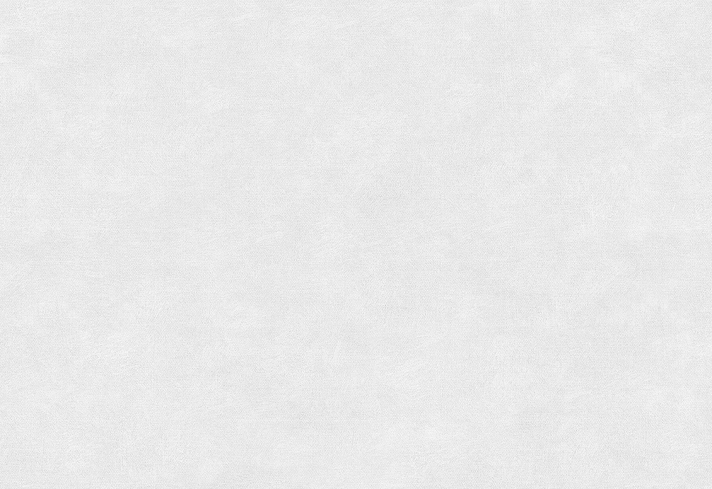 Керамическая плитка Керамин Ассам 7, цвет белый, поверхность матовая, прямоугольник, 275x400