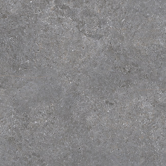 Керамогранит Porcelanosa Hannover Silver Ant. 100310714, цвет серый, поверхность матовая, квадрат, 1200x1200