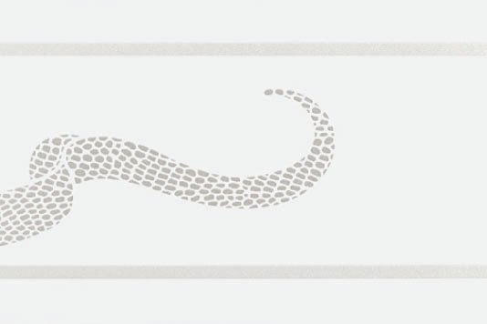 Бордюры Petracers Gran Gala Listello Serpente D Bianco, Италия, прямоугольник, 210x315, фото в высоком разрешении