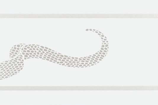 Бордюры Petracers Gran Gala Listello Serpente D Bianco, цвет белый, поверхность глянцевая, прямоугольник, 210x315