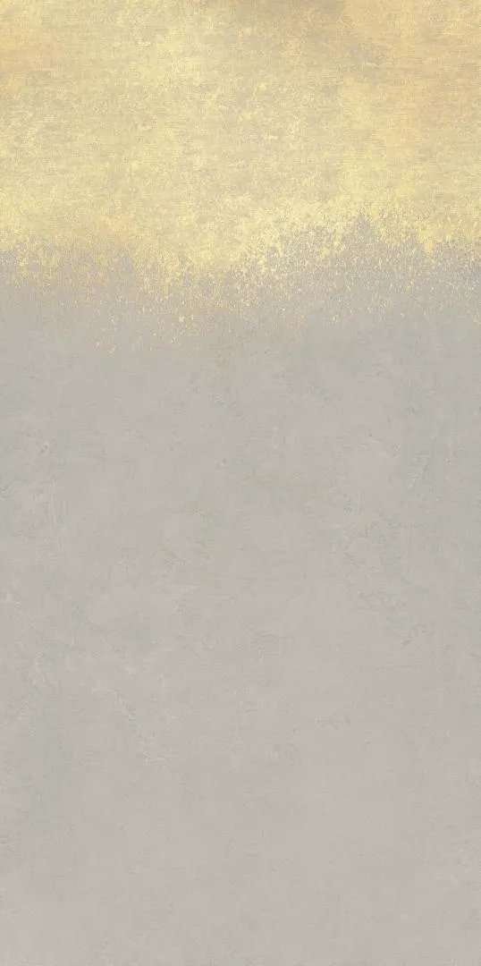 Декоративные элементы La Faenza Vis VIS6 DK 240AG, цвет серый золотой, поверхность матовая, прямоугольник, 1200x2400