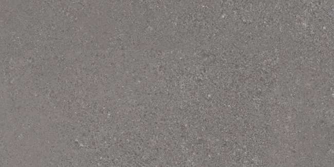 Керамогранит Vives Alpha-R Plomo, цвет серый, поверхность матовая, прямоугольник, 293x593