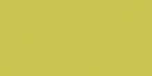 Керамическая плитка Rako Color One WAAMB464, цвет зелёный, поверхность матовая, прямоугольник, 200x400
