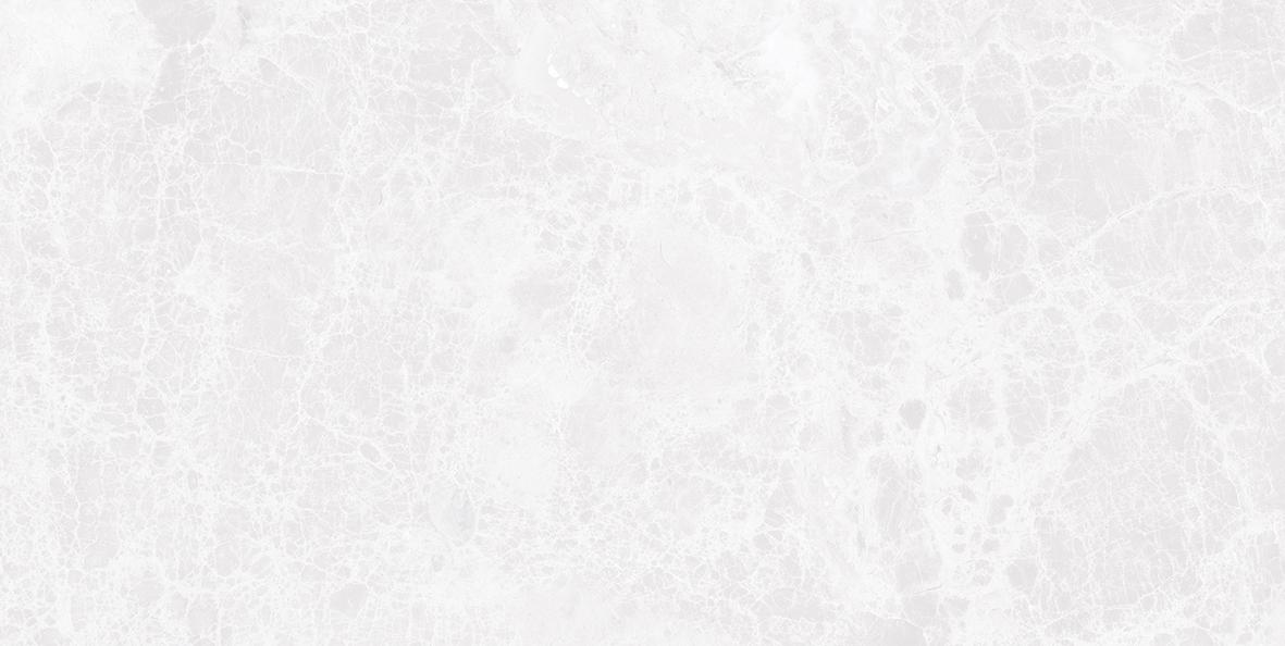 Керамическая плитка Laparet Afina серый 08-00-06-425, цвет серый, поверхность глянцевая, прямоугольник, 200x400