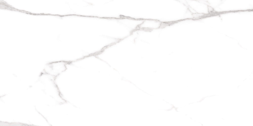 Керамогранит Cerdomus Omnia Statuario Matt 88961, цвет белый серый, поверхность матовая, прямоугольник, 300x600