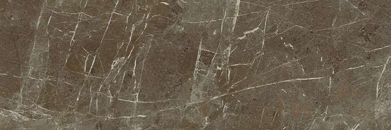 Керамическая плитка Paradyz Stone Matter Brown Sciana Rekt., цвет коричневый, поверхность глянцевая, прямоугольник, 298x898