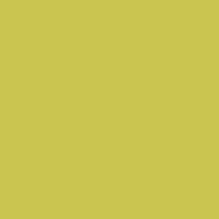 Керамическая плитка Rako Color One WAA1N454, цвет зелёный, поверхность глянцевая, квадрат, 200x200