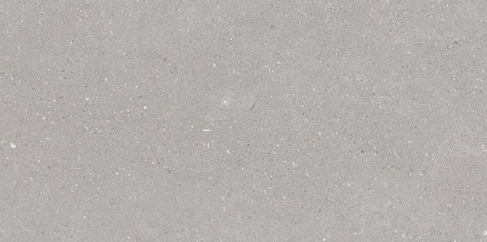Керамогранит Porcelanosa Adda Silver C-2 100310947, цвет серый, поверхность матовая, прямоугольник, 297x596