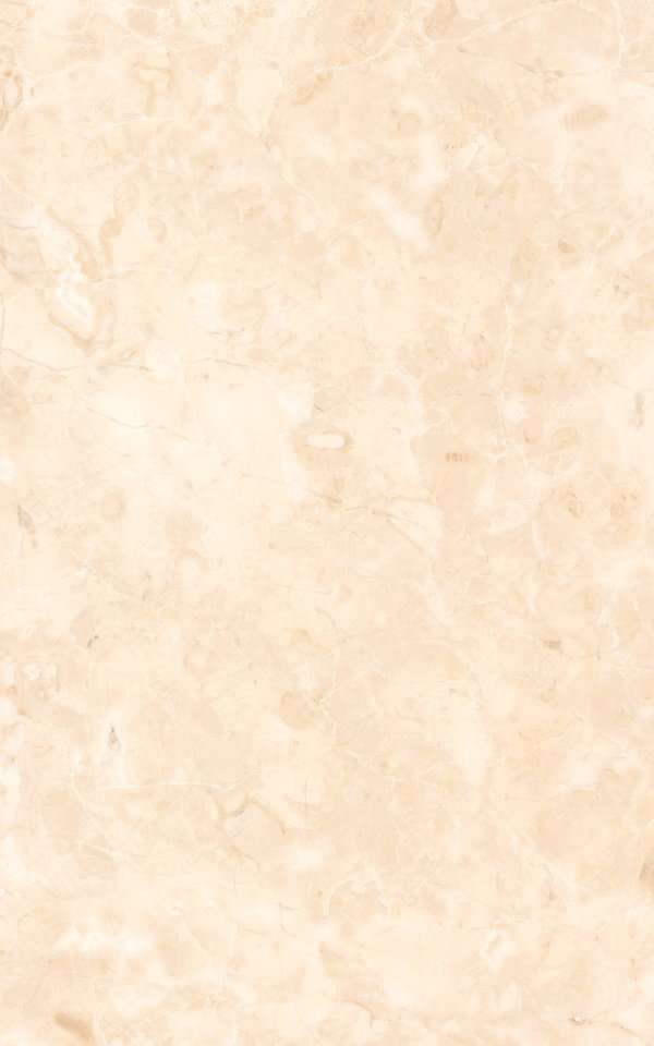 Керамическая плитка Terracotta Плитка Kamelia Светло-кремовая, цвет бежевый, поверхность матовая, прямоугольник, 250x400