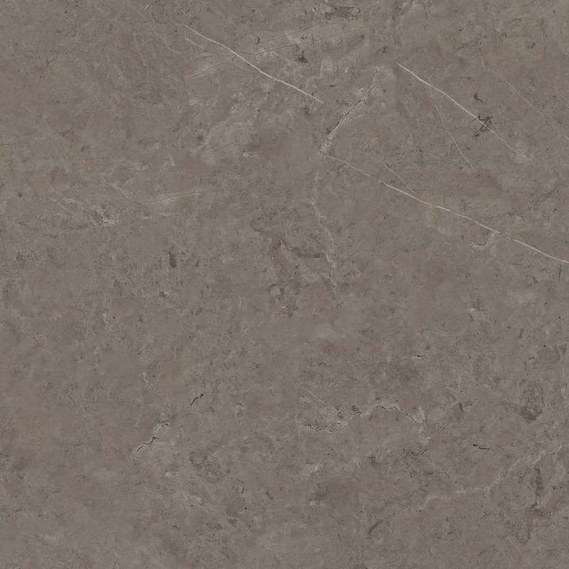 Керамогранит Porcelanosa Karachi Acero 100288962, цвет серый, поверхность матовая, квадрат, 1200x1200