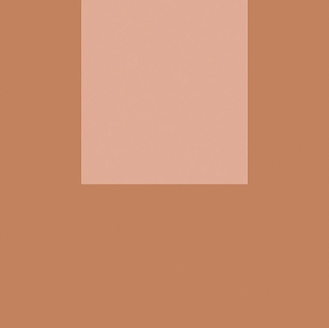 Декоративные элементы Fioranese Italian Landscape Firenze_D ILFI20D, цвет коричневый розовый, поверхность матовая, квадрат, 205x205
