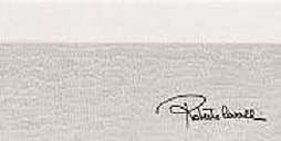 Бордюры Roberto Cavalli Tanduk Alzata Grigio Firma 556840, цвет серый, поверхность матовая, прямоугольник, 100x198