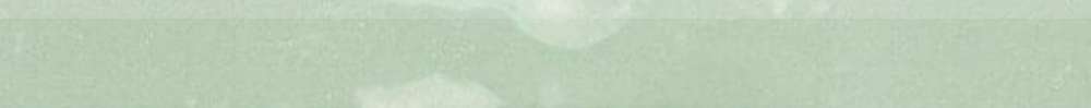 Бордюры Wow Fez Bullnose Mint Gloss 114745, цвет зелёный, поверхность глянцевая, прямоугольник, 35x125