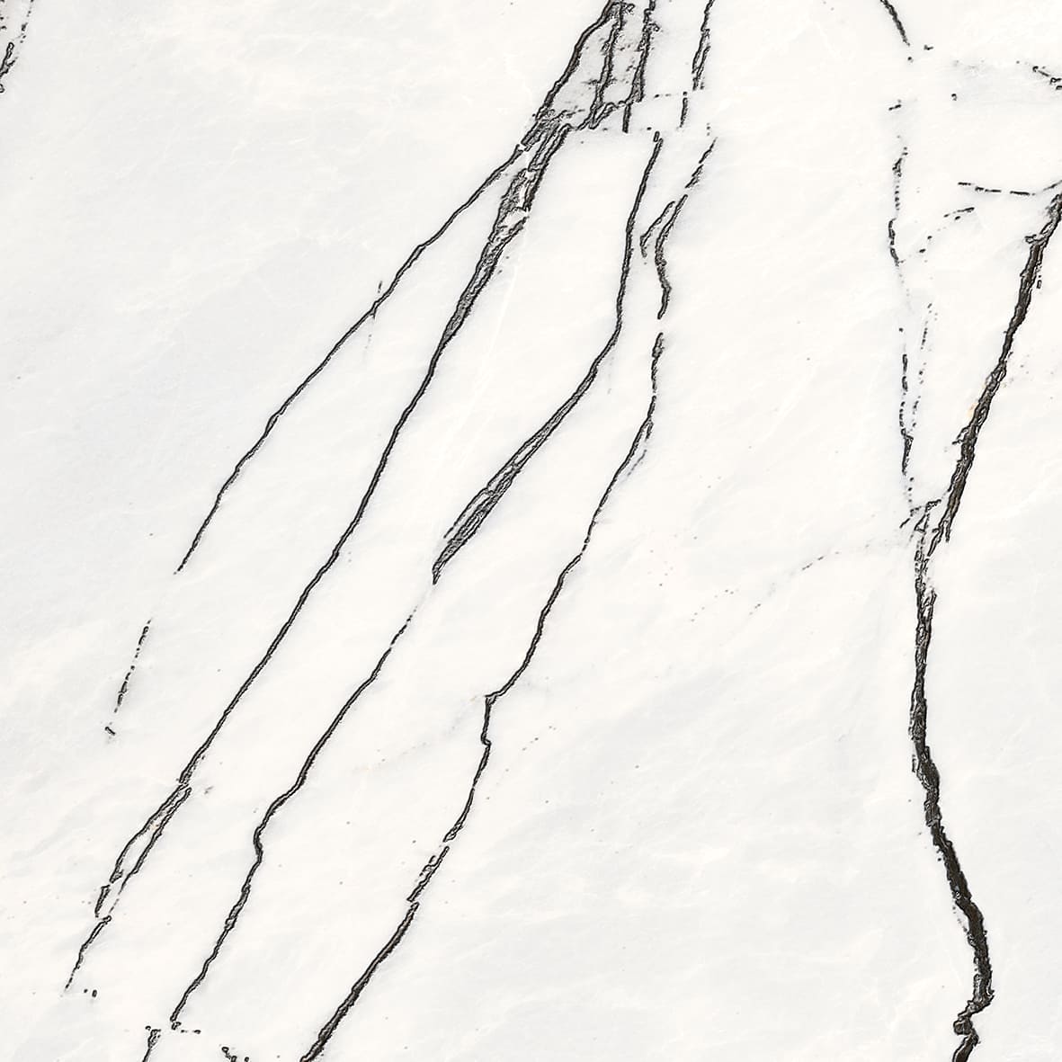 Керамогранит Axima Bonn Белый, цвет белый, поверхность матовая, квадрат, 600x600