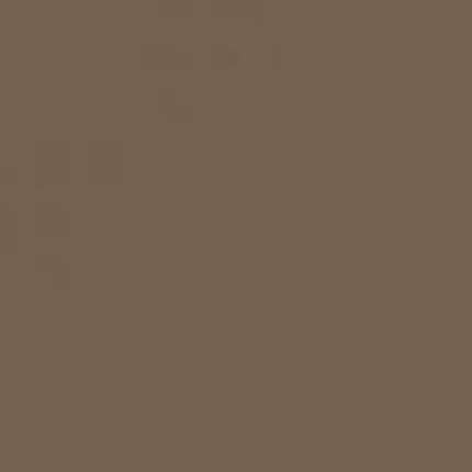 Керамогранит Topcer Coffee Brown 29 L4429-1Ch, цвет коричневый, поверхность матовая, квадрат, 100x100