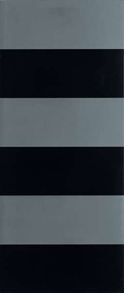 Декоративные элементы Roberto Cavalli Diva Dec. Lineare Nero 553662, цвет чёрный, поверхность матовая, прямоугольник, 320x750