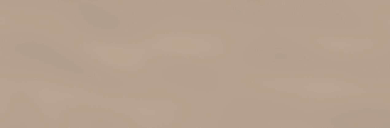 Керамическая плитка APE Bloom Desert, цвет коричневый, поверхность глянцевая, прямоугольник, 280x850