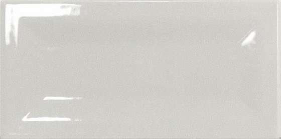 Керамическая плитка Equipe Evolution Inmetro Light Grey 22350, цвет серый, поверхность глянцевая, кабанчик, 75x150
