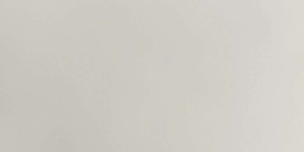 Керамогранит Керамика будущего Декор MR Бело-серый, цвет серый, поверхность матовая, прямоугольник, 600x1200