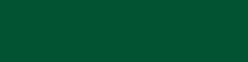 Керамогранит Ce.Si Matt Felce, цвет зелёный, поверхность матовая, прямоугольник, 50x200