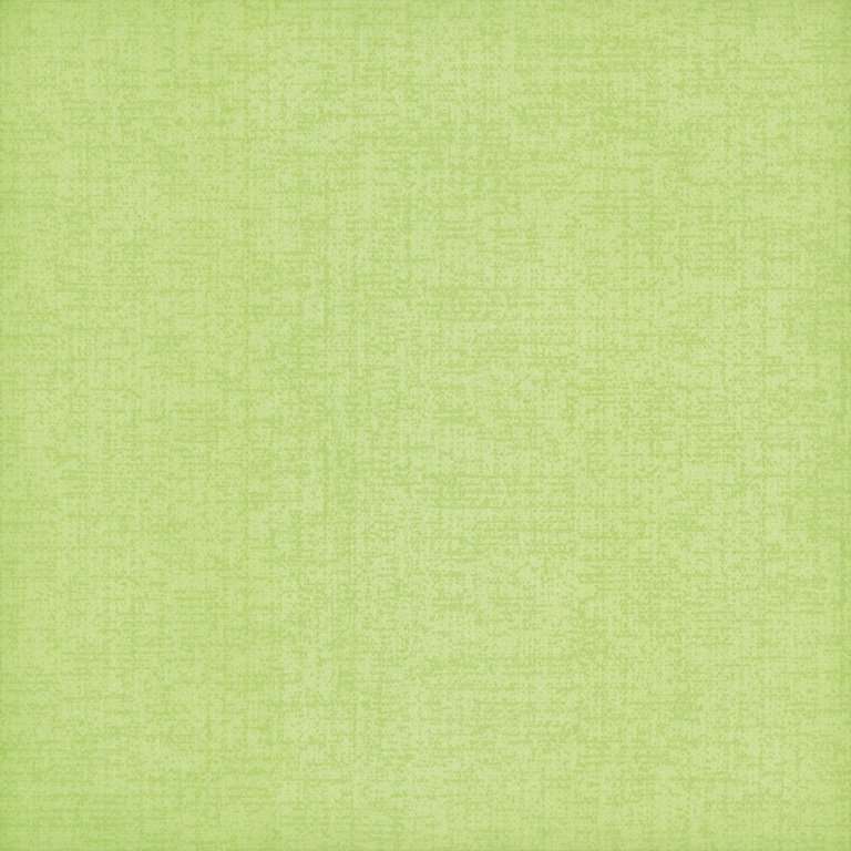 Керамогранит Bardelli Bardelli Colorado B8, цвет зелёный, поверхность матовая, квадрат, 400x400