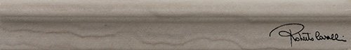 Бордюры Roberto Cavalli Agata Multicolor Torello Firma 558856, цвет коричневый, поверхность матовая, прямоугольник, 50x300