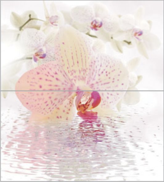 Панно Ceradim Orchid Dec Panno, цвет разноцветный, поверхность глянцевая, прямоугольник, 500x450