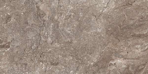 Керамогранит Leopard Stone Grey Polished, цвет коричневый, поверхность полированная, прямоугольник, 600x1200