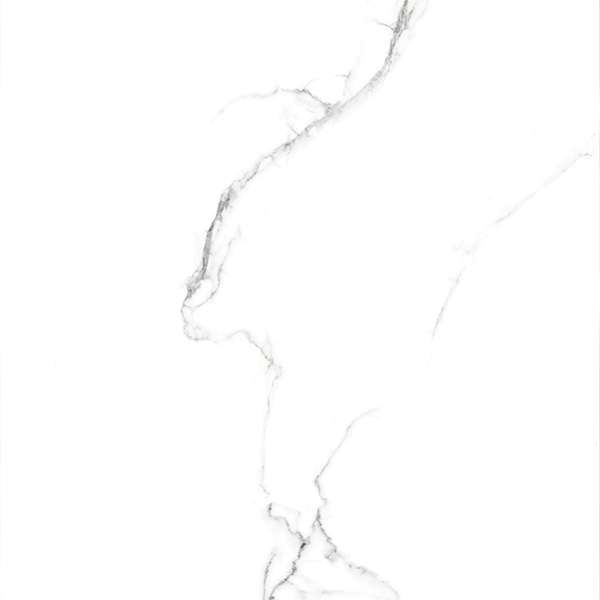 Керамогранит Absolut Gres Statuario Titan Gloss, цвет белый, поверхность глянцевая, квадрат, 600x600
