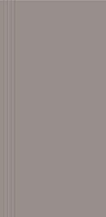 Ступени Керамин Моноколор 1 ступени, цвет серый, поверхность матовая, прямоугольник, 600x295