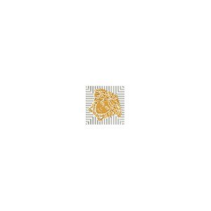 Вставки Versace Meteorite Toz.Medusa Lap Bian/Oro 47312, цвет белый золотой, поверхность лаппатированная, квадрат, 27x27