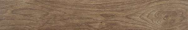 Керамогранит STN Ceramica Asbury Forest, цвет коричневый, поверхность матовая, прямоугольник, 150x900