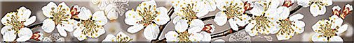 Бордюры Azori Amati Border Sakura, цвет коричневый, поверхность глянцевая, прямоугольник, 62x505
