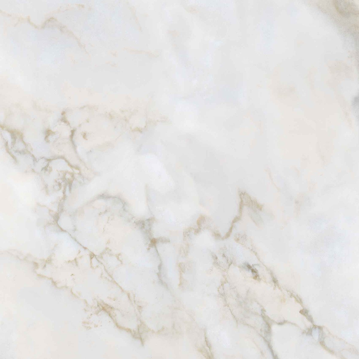 Керамогранит Arcana Marble Arabescato-R, цвет слоновая кость, поверхность полированная, квадрат, 593x593