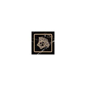 Вставки Versace Emote Tozzetto Nero Amasanta 262582, цвет чёрный, поверхность полированная, квадрат, 40x40