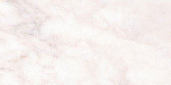 Керамическая плитка Нефрит керамика Пастораль 00-00-5-10-00-06-460, цвет белый, поверхность глянцевая, прямоугольник, 250x500