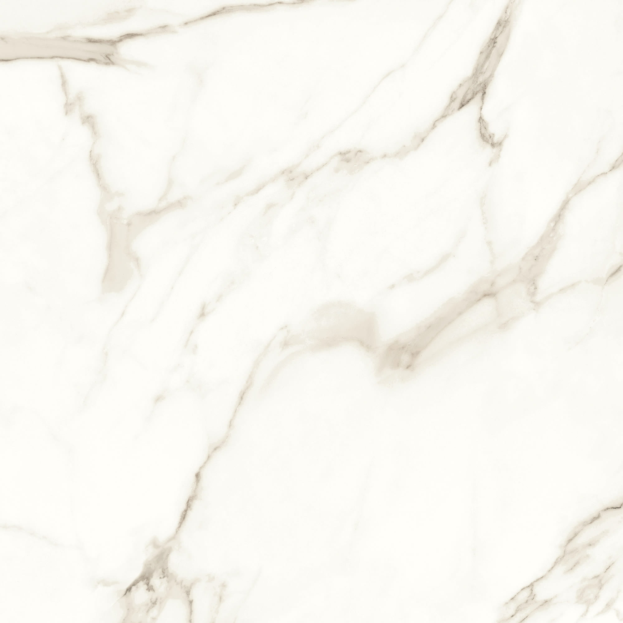 Керамогранит Margres Prestige Calacatta Pol, цвет белый, поверхность полированная, квадрат, 600x600