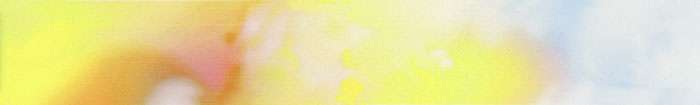 Бордюры Terracotta Бордюр Alba Gerbera, цвет разноцветный, поверхность глянцевая, прямоугольник, 45x300